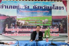 IMG_7846.jpg