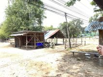 S__47947837.jpg