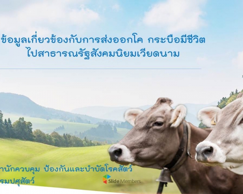 การส่งออกโคเนื้อมีชีวิตจากประเทศไทยไปยังสาธารณรัฐสังคมนิยมเวียดนาม